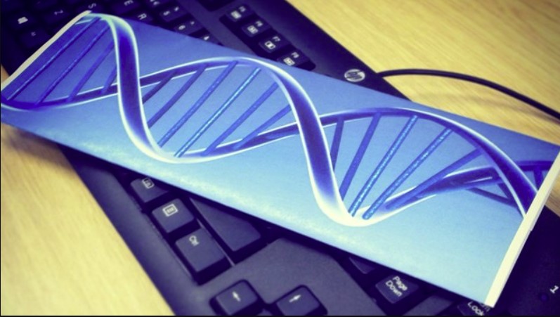 A DNA typewriter transforms whole phrases into living cells