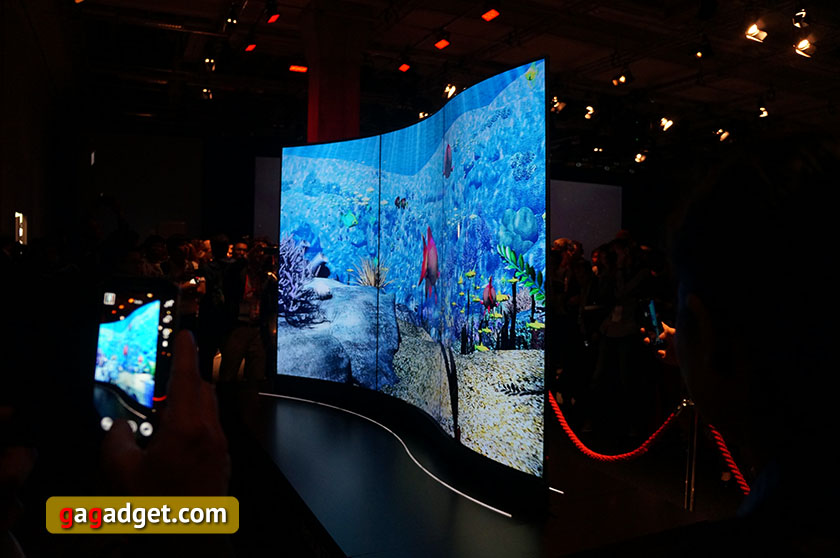LG Display: «Гибкие OLED-дисплеи появятся в массовых продуктах в первой половине 2017 года»