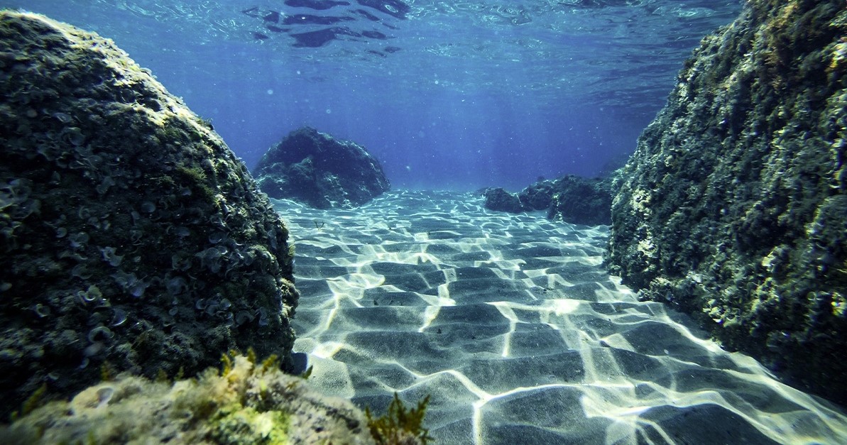 Scientists mapped almost a quarter of the ocean floor