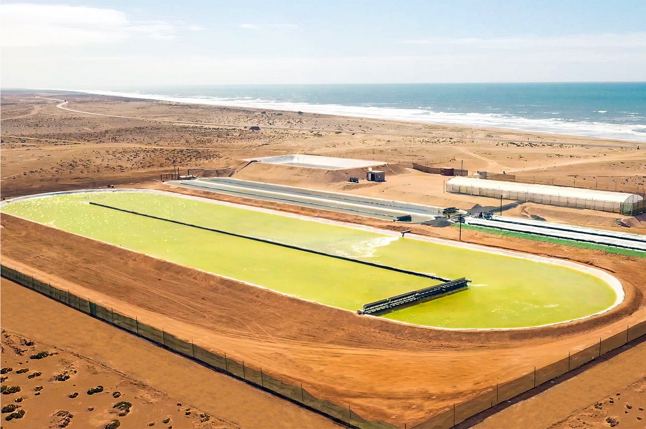 The world’s largest algae growth pond uses nature-based technology to capture CO2 emissions