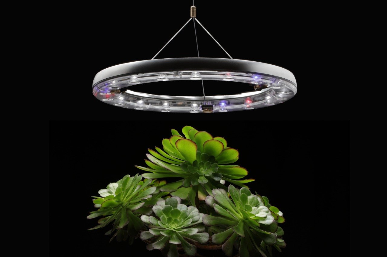 Ce système d'éclairage horticole + arrosage prend soin de vos plantes d'intérieur à 360 degrés.