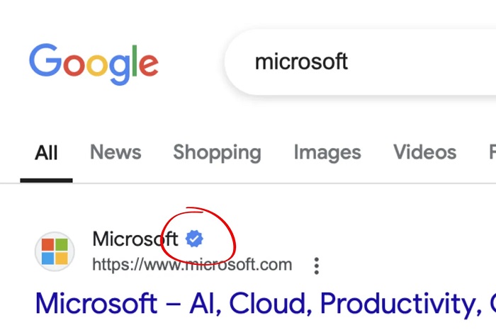 Google teste une fonction de vérification des sites qui permettra d'éliminer les conversions vers de fausses pages.-2