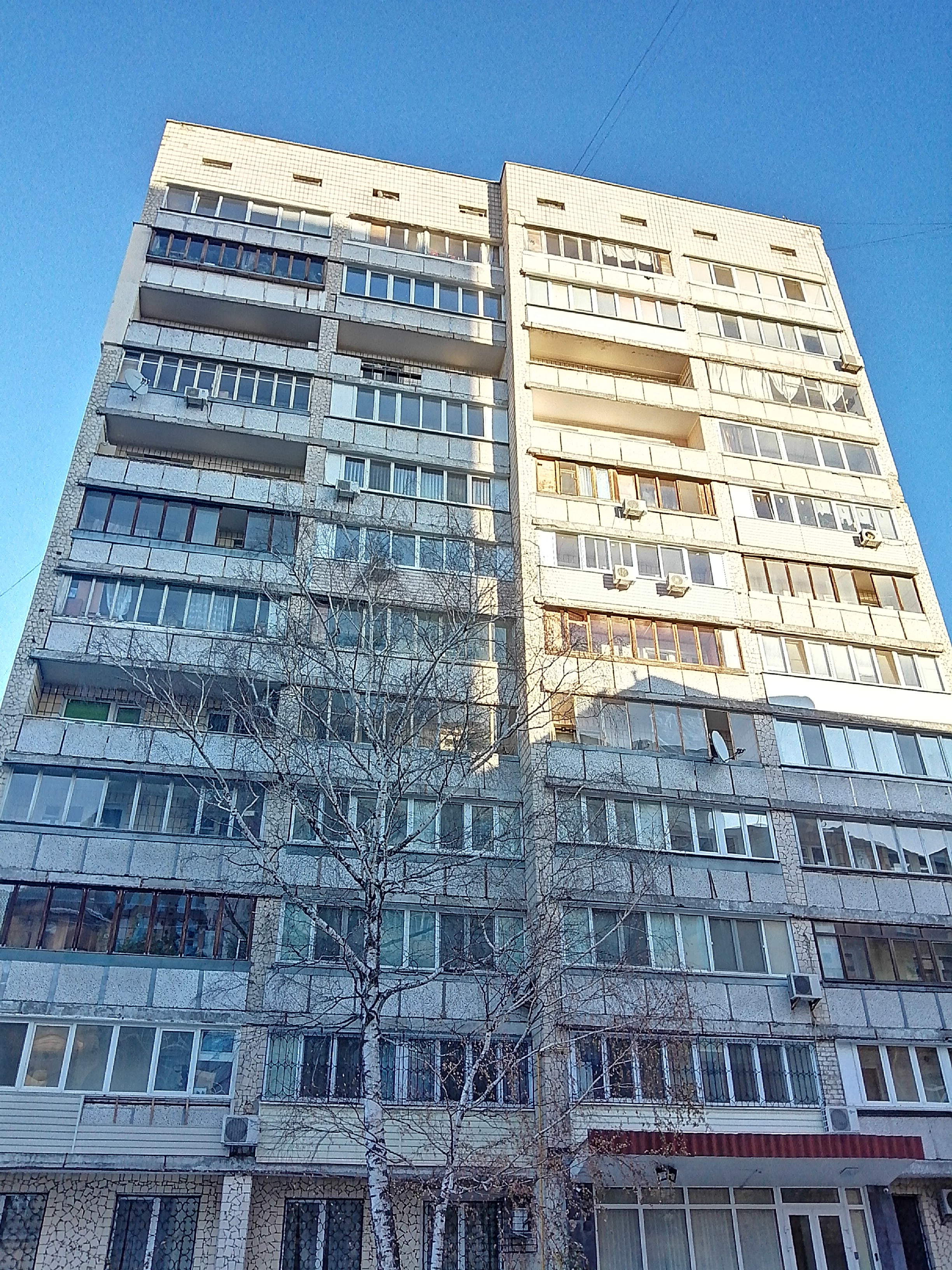 2019-01-19 15.06.37.jpg