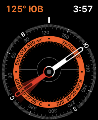 Огляд Apple Watch 5: смарт-годинник за ціною зорельота-47 Огляд Apple Watch 5: смарт-годинник за ціною зорельота-47