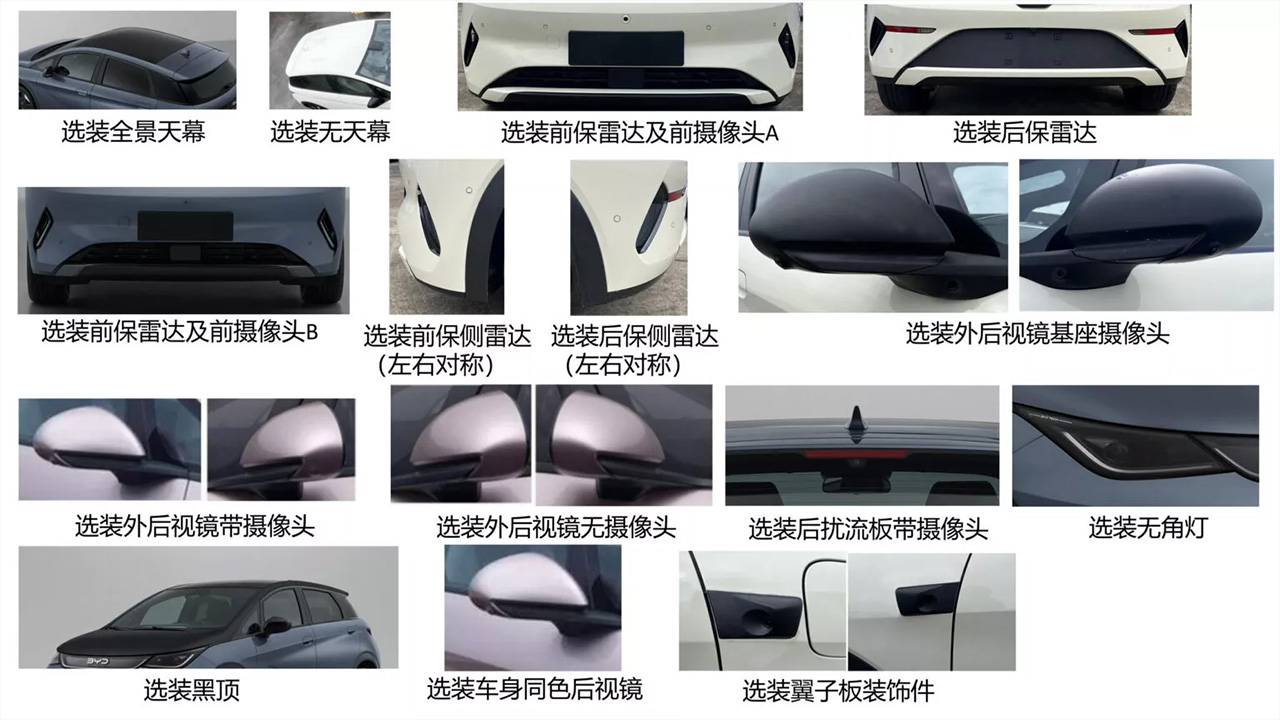 BYD Dolphin 2026 rénové : vue arrière