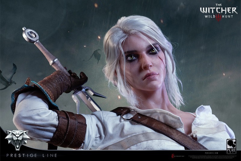 Herald in the style of The Witcher