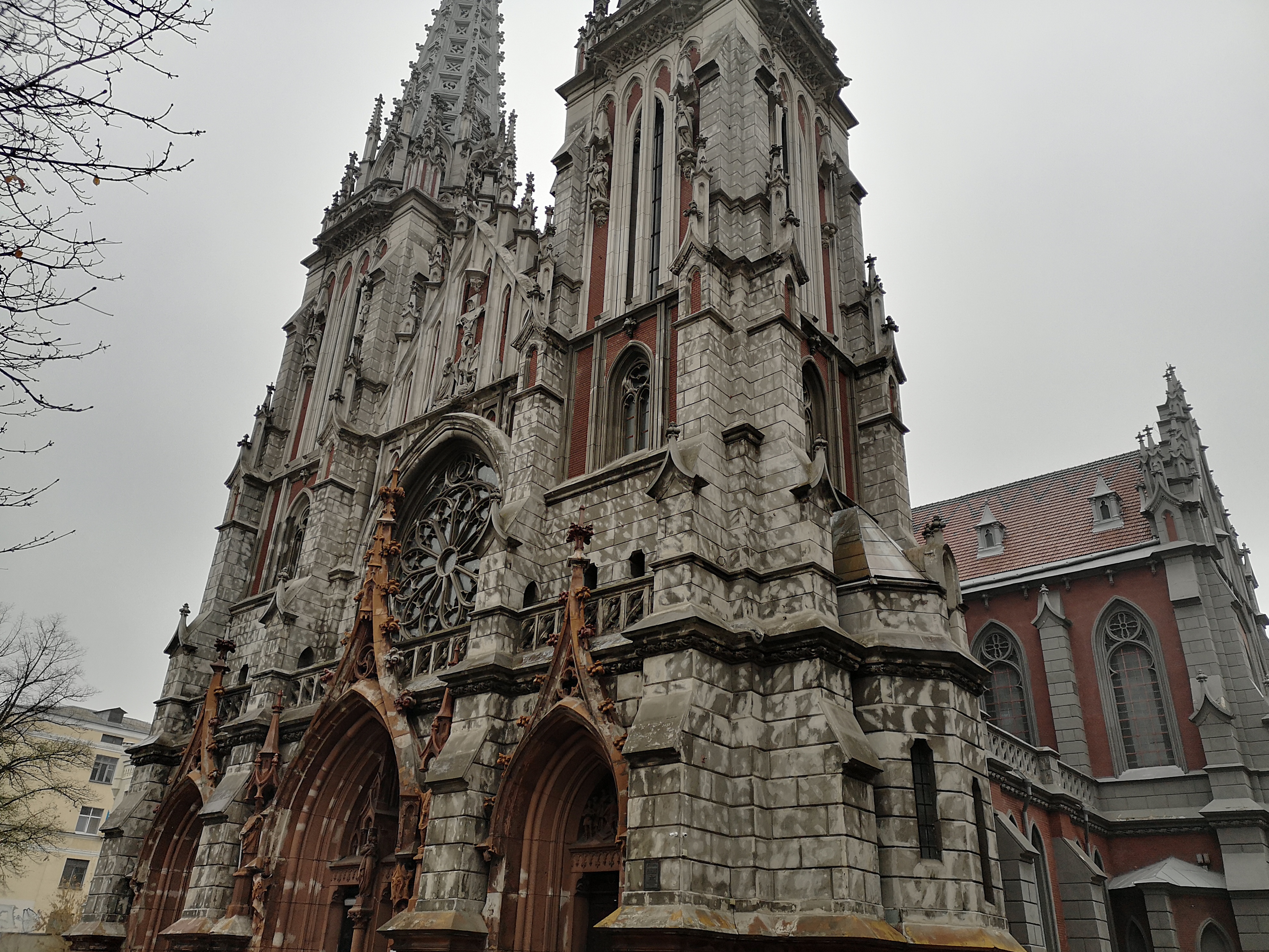 IMG_20181030_082438.jpg