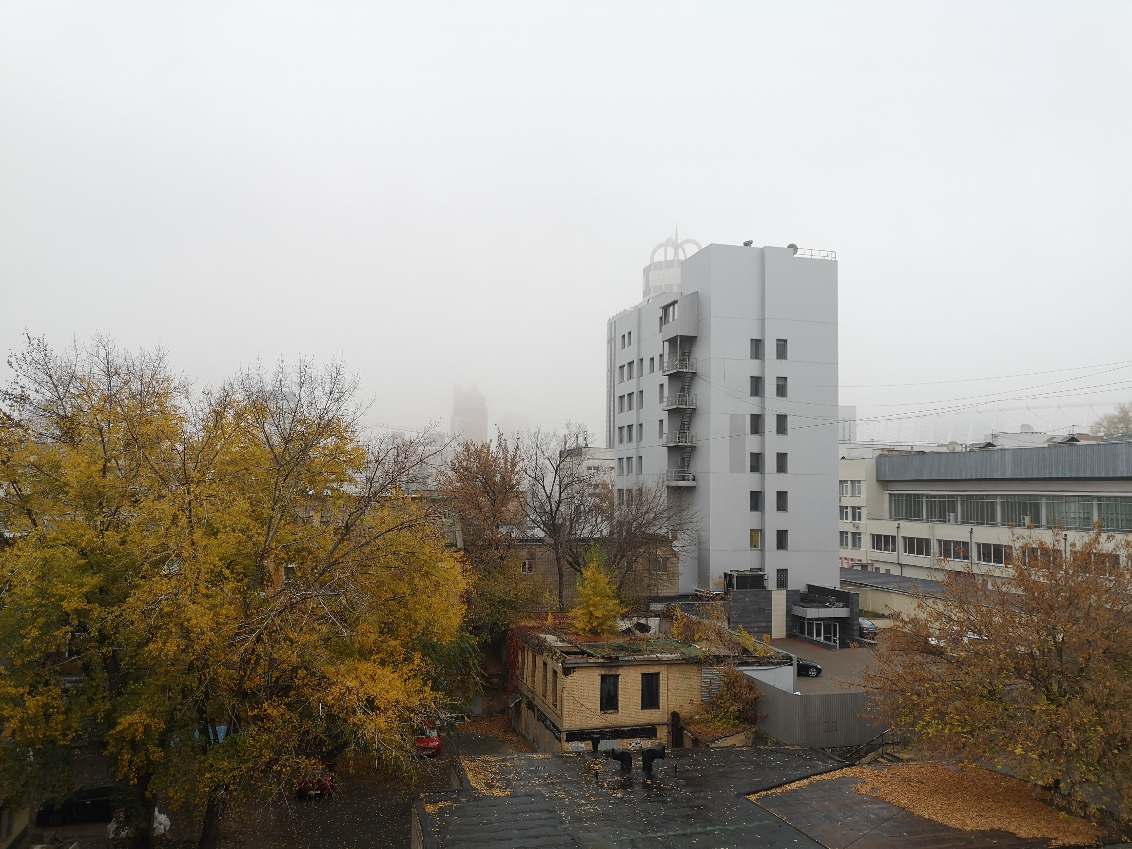 IMG_20181030_084514.jpg