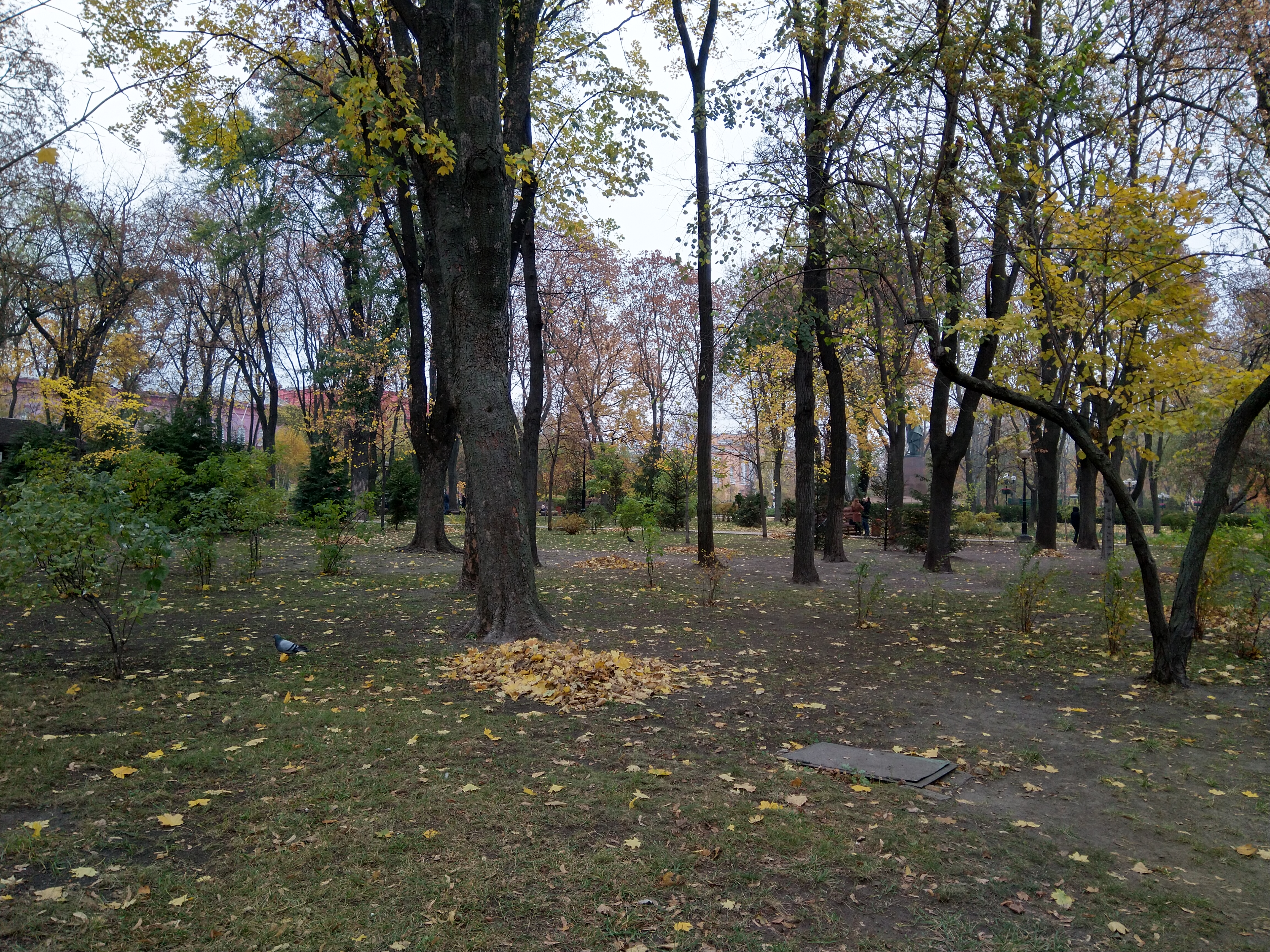 IMG_20181101_135245.jpg