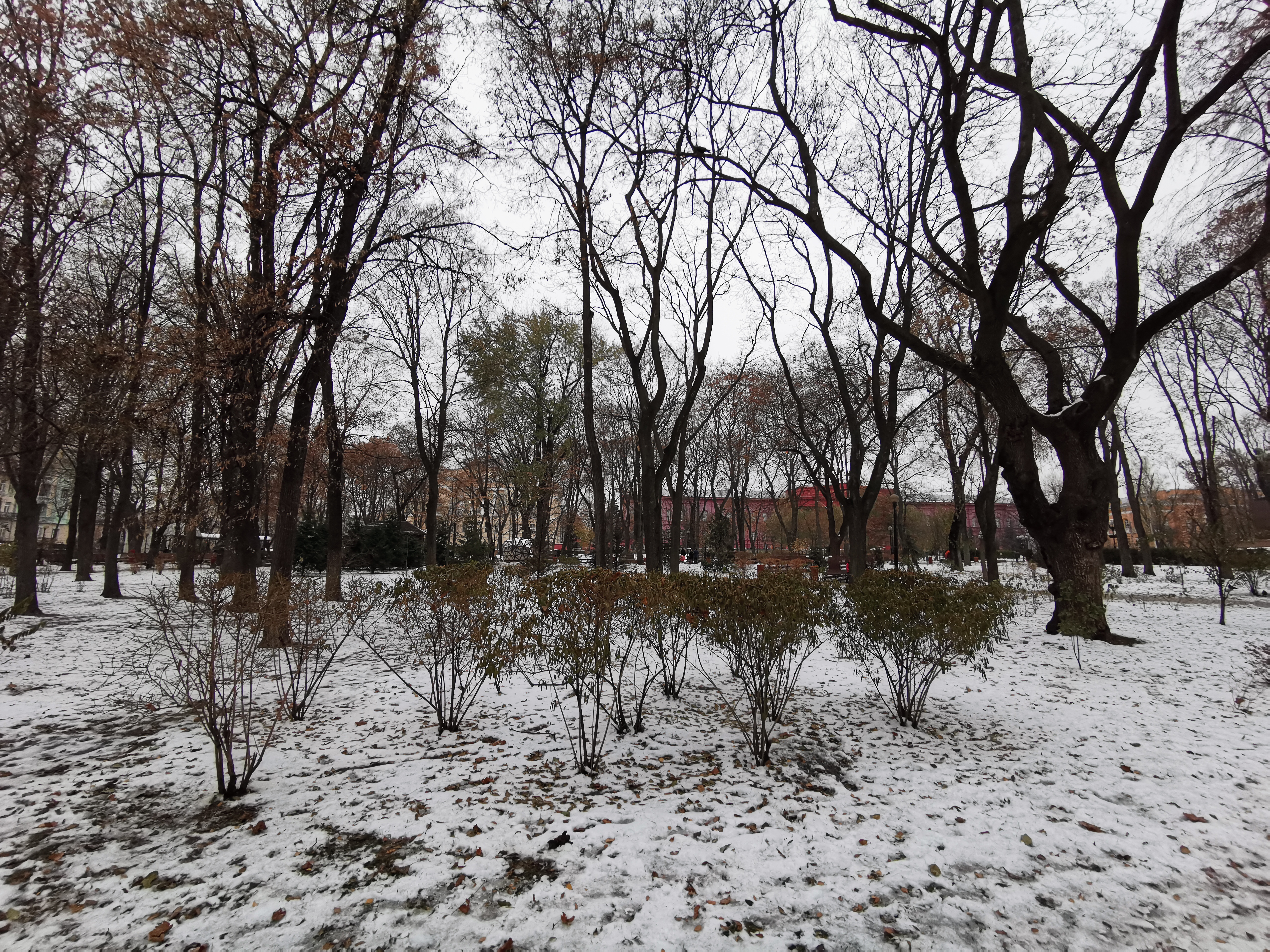 IMG_20181123_145821.jpg