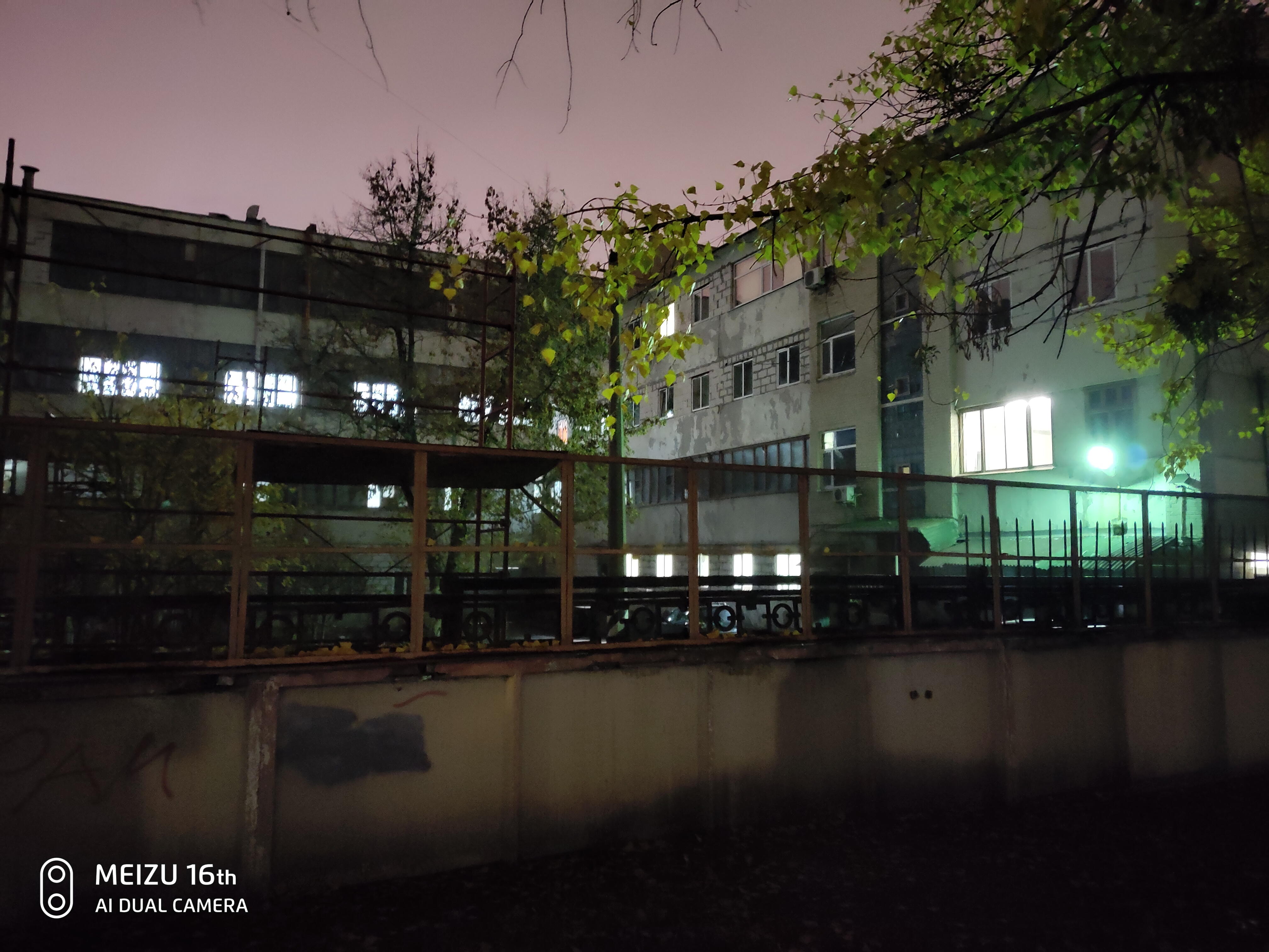 P81031-182910.jpg