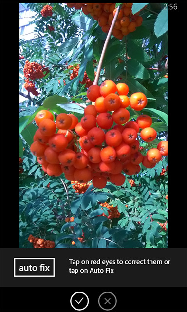 Приложения для Windows Phone: Adobe Photoshop Express-5
