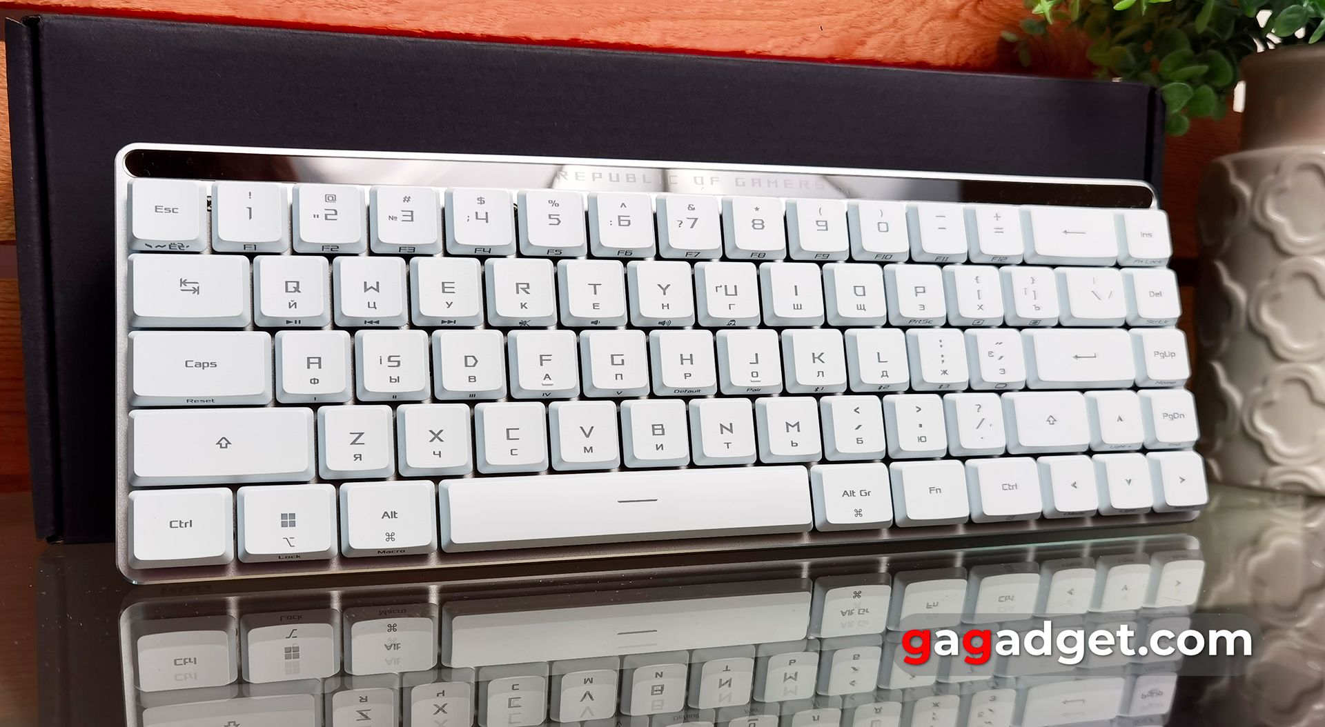 Огляд ASUS ROG Falchion RX Low Profile