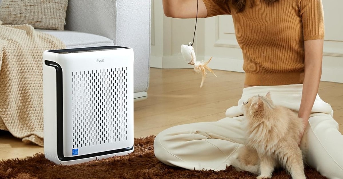 best air purifiers for cats 2026