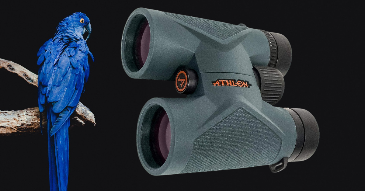 best compact binoculars for birding 2026