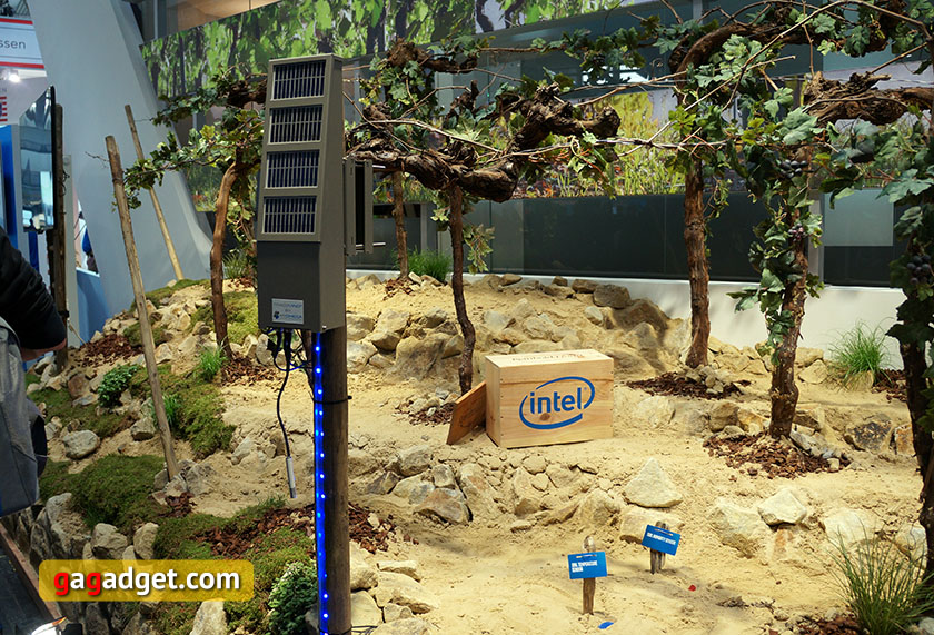 Стенд Intel CeBIT 2016 своими глазами: интернет вещей на винодельне, Big Data и смарт-часы для гольфа -2