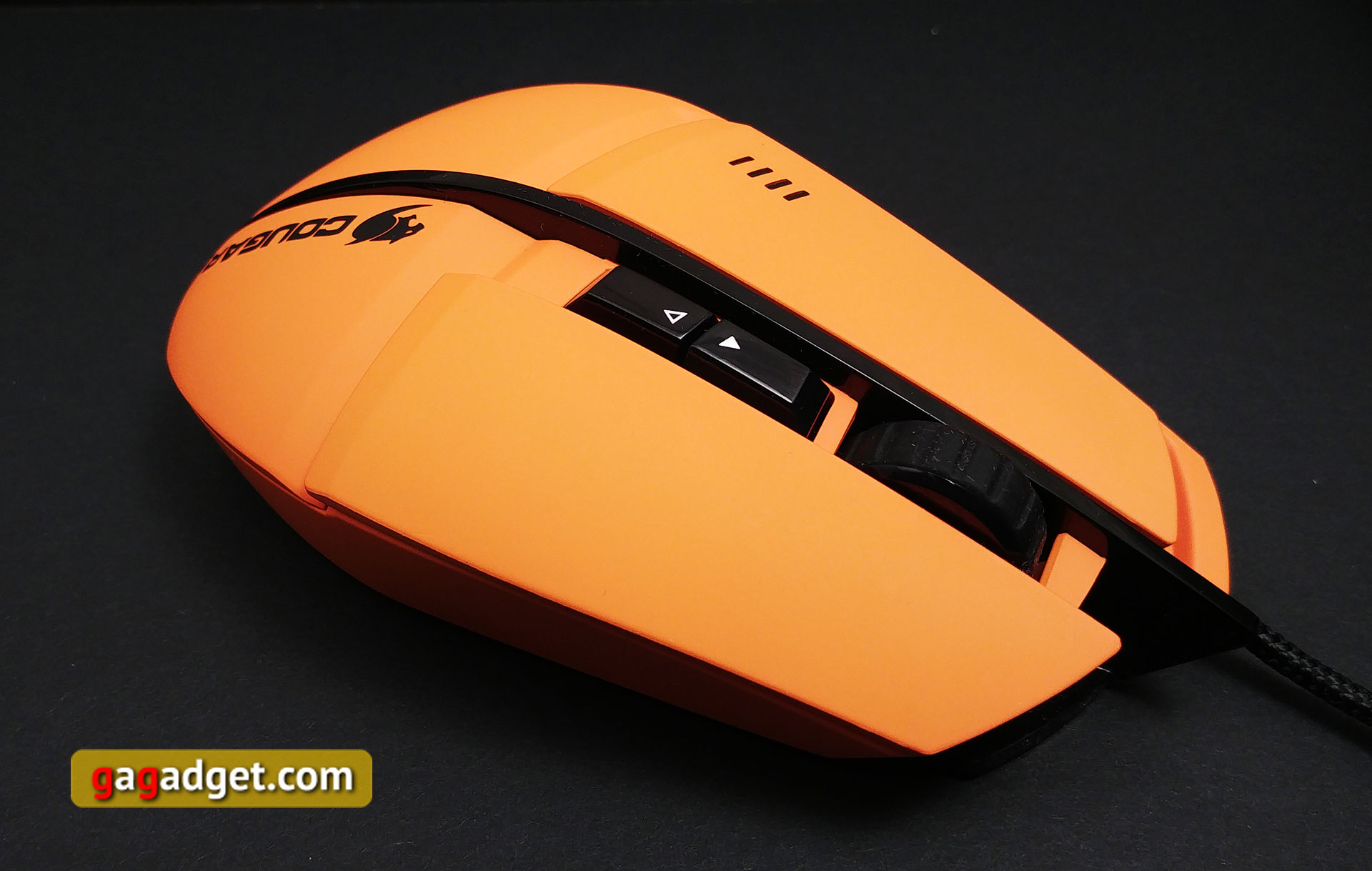 cougar-600m-02.jpg
