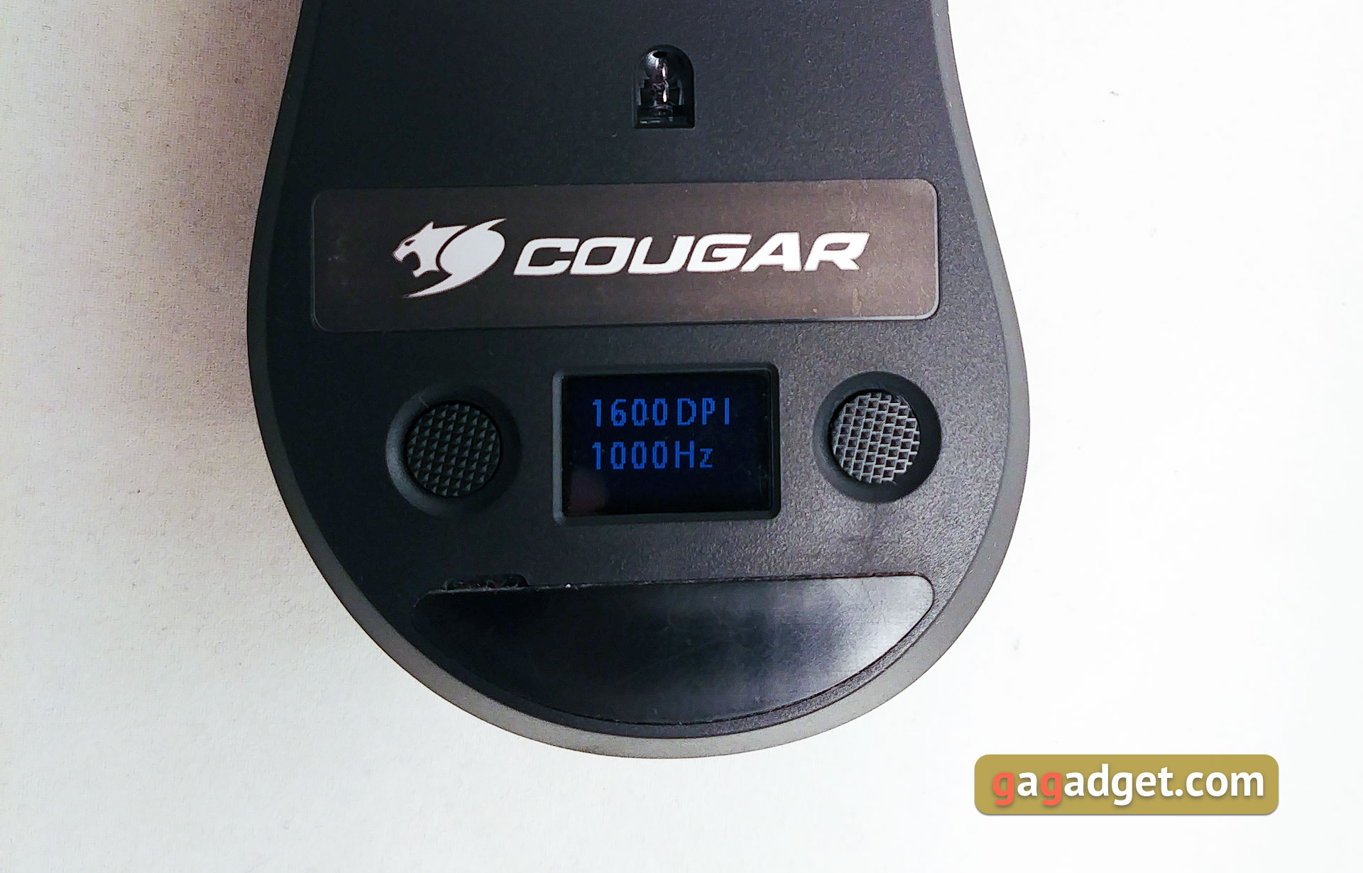 cougar-surpassion-18.jpg