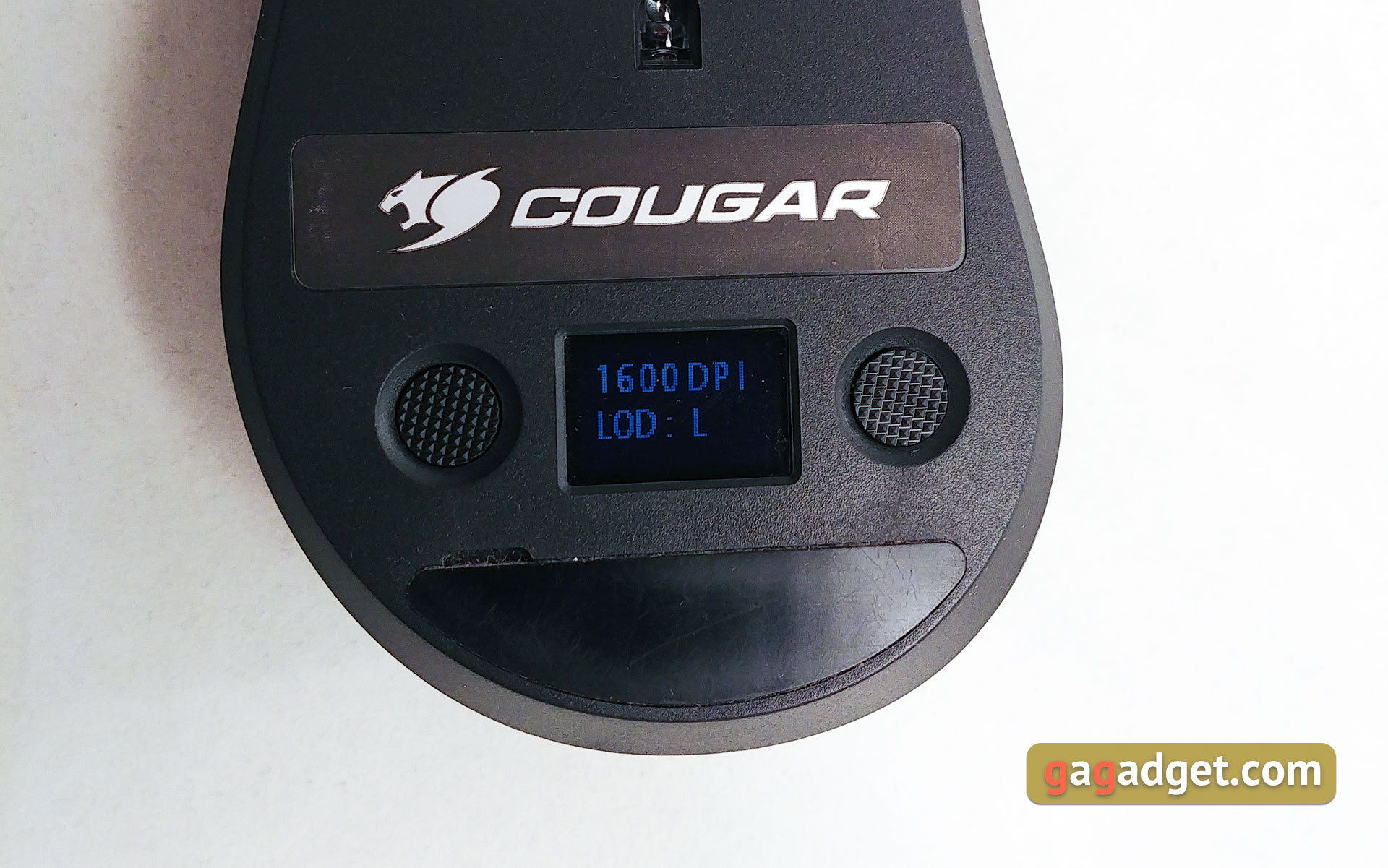 cougar-surpassion-21.jpg