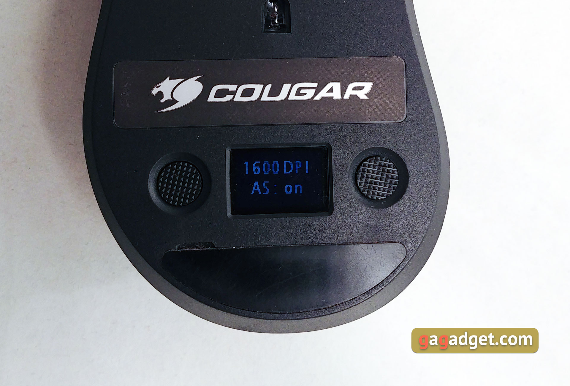 cougar-surpassion-24.jpg