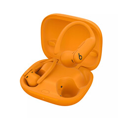 Boîtier Powerbeats Pro 2
