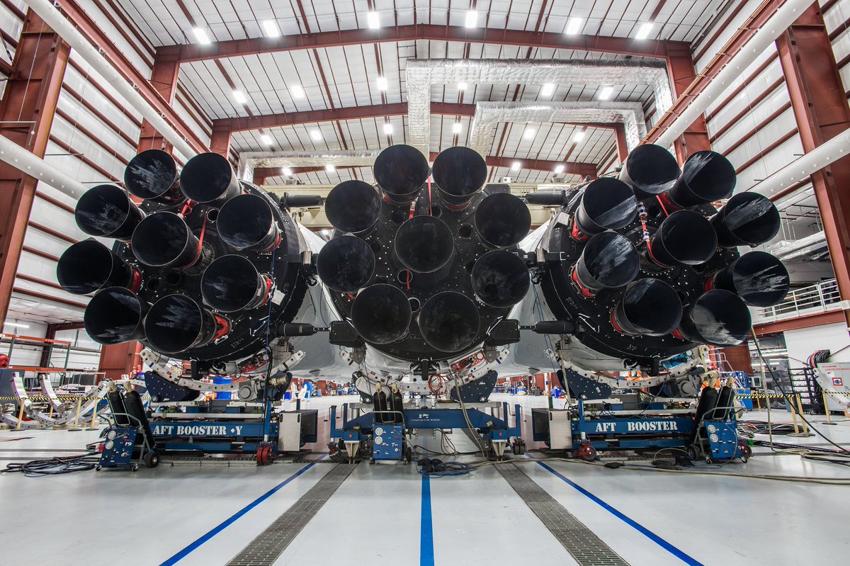 falcon3.jpg