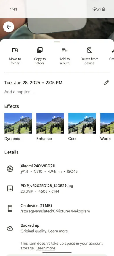 Google Photos standard image