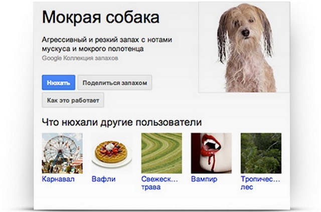 Google Nose: сервис передачи запахов онлайн (видео) Google Nose: сервис передачи запахов онлайн (видео)