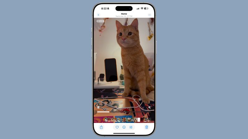 Video Player enhancements in iOS 18.2