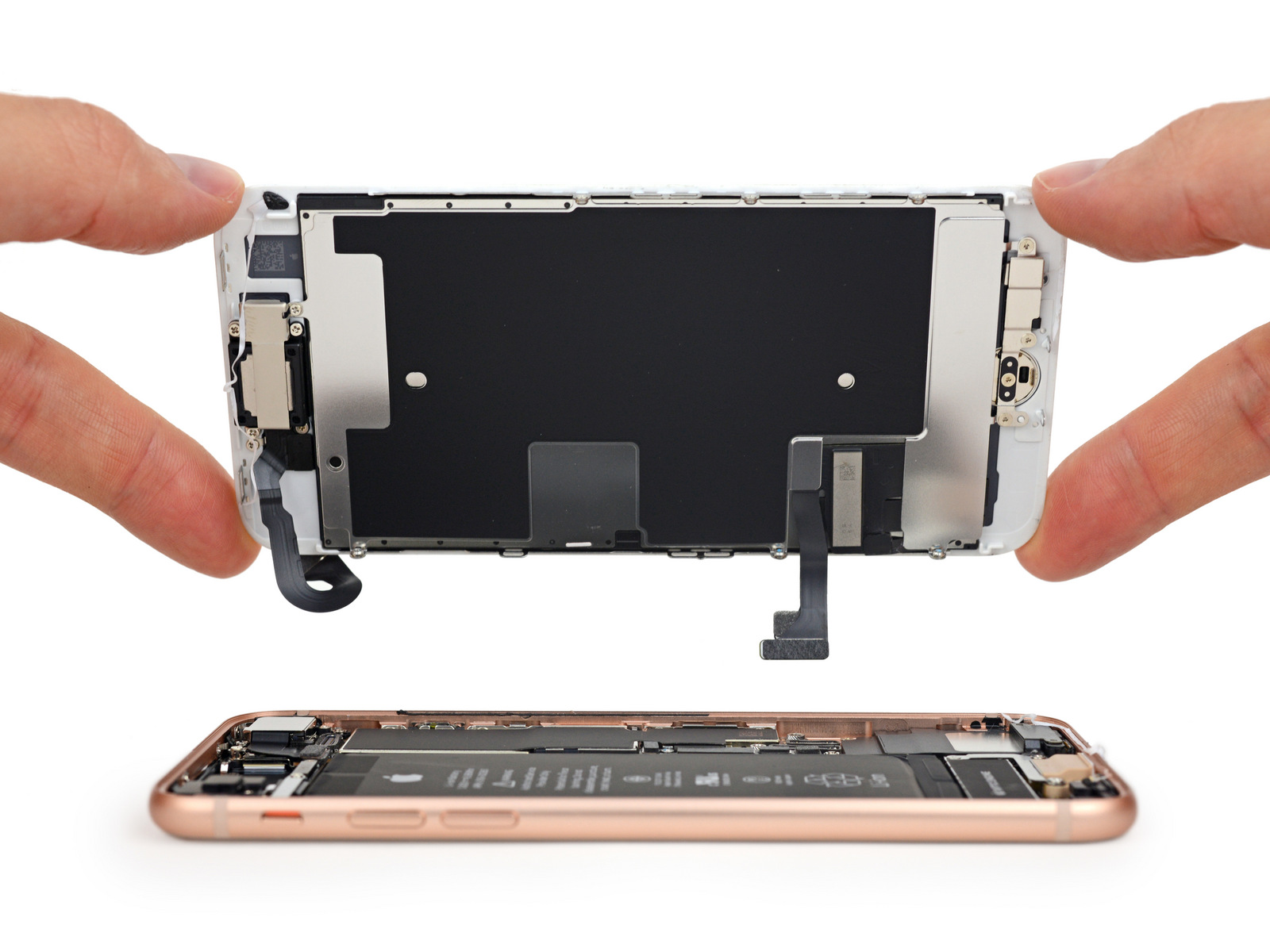 iphone-ifixit-teardown-2.jpg
