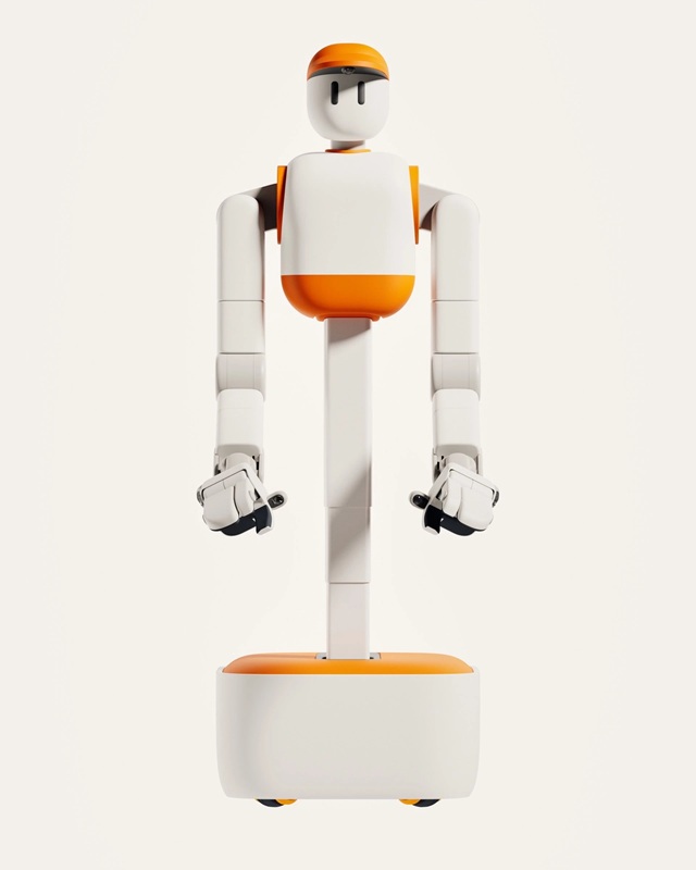 Memo robot demonstration