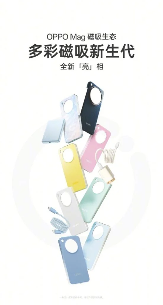 Oppo Magnetic Protective Case