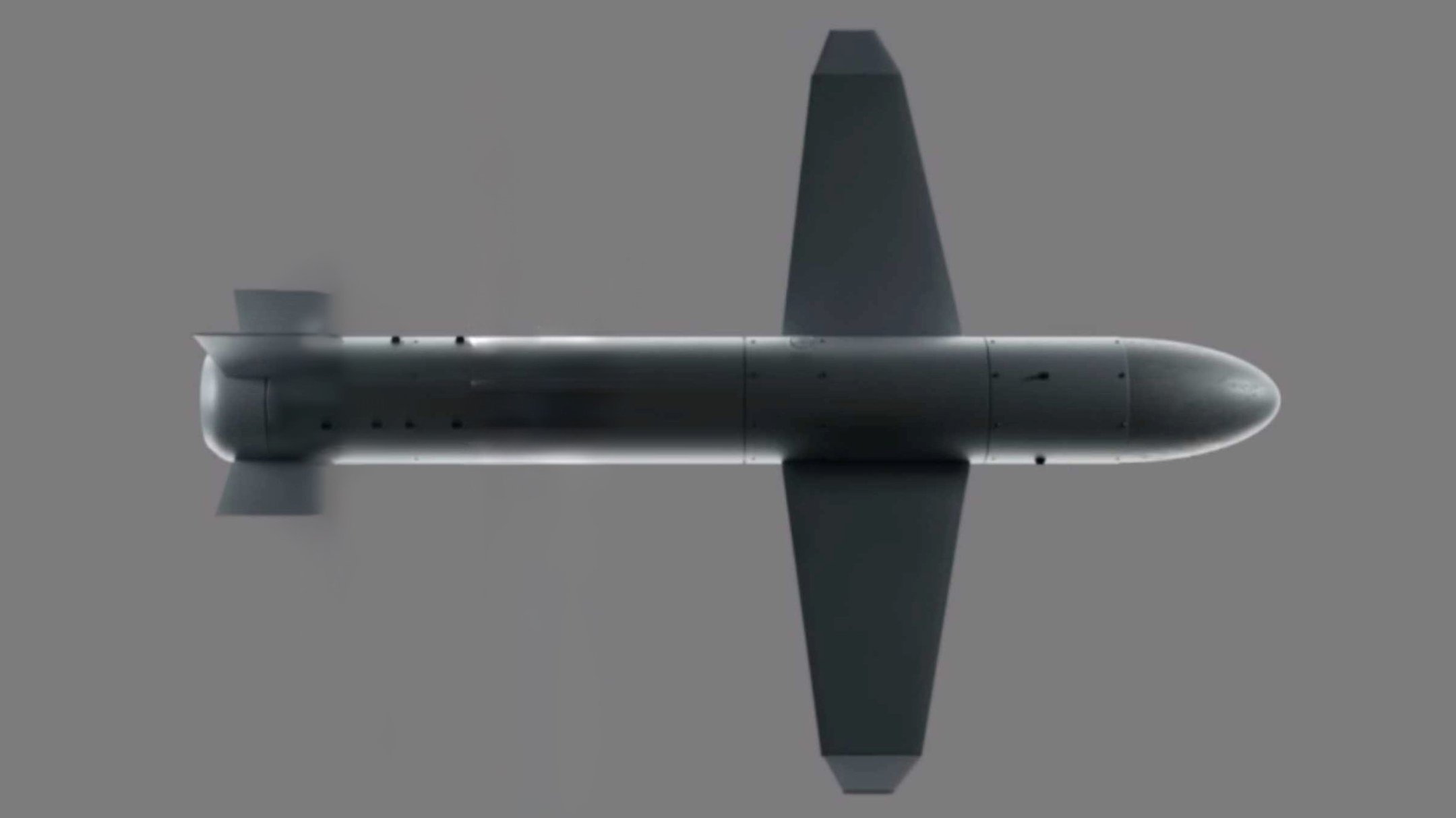 Missile de drone Palyanytsia