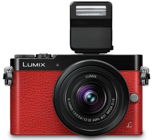 Panasonic Lumix DMC-GM5: компактная беззеркальная камера с электронным видоискателем
