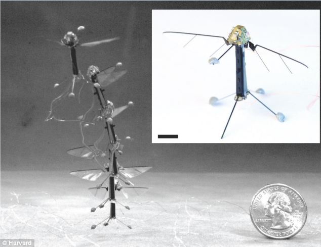 Robo-Fly: самый миниатюрный летающий робот с «глазами»