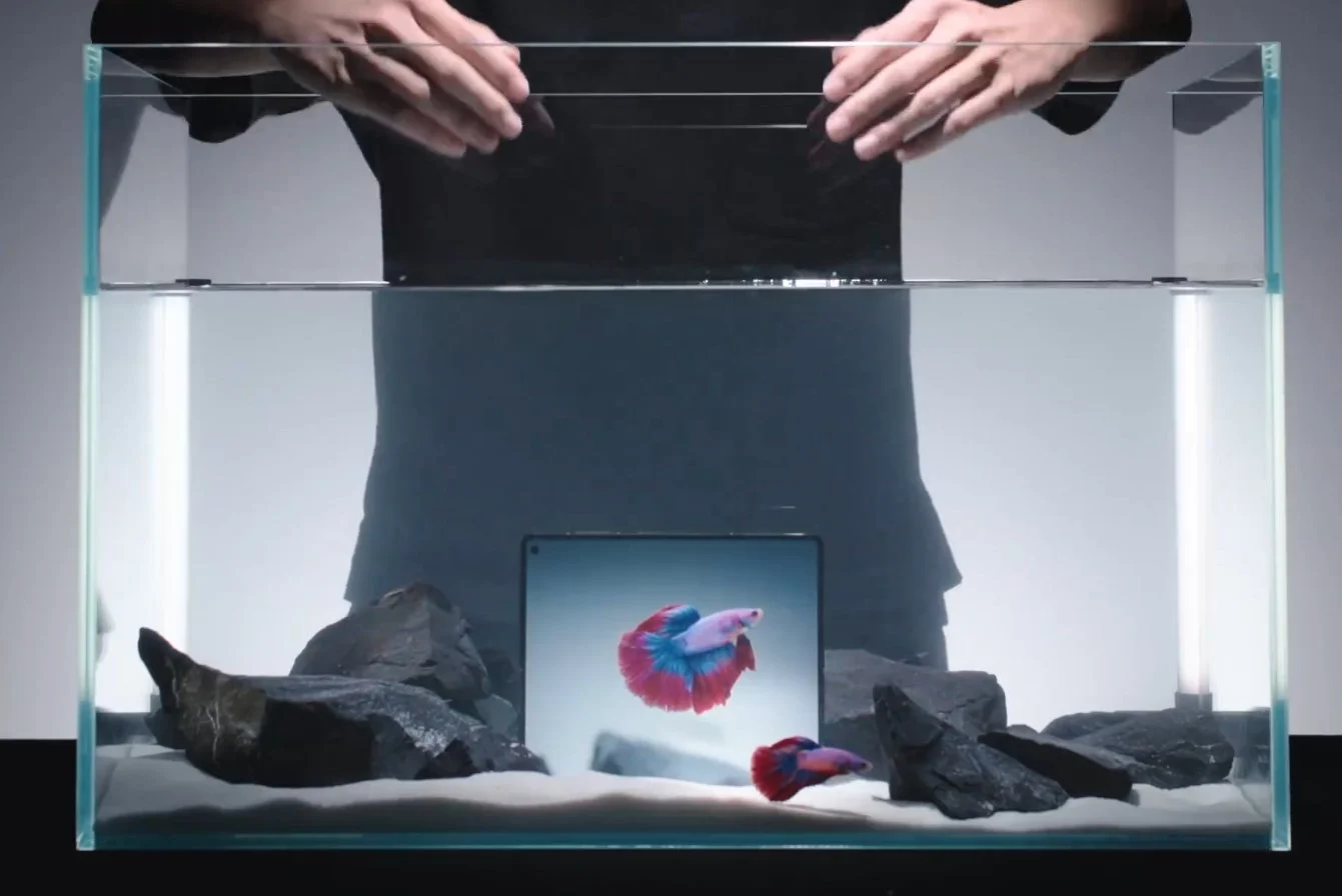Vivo X Fold 5 dust, water, and drop proof rating