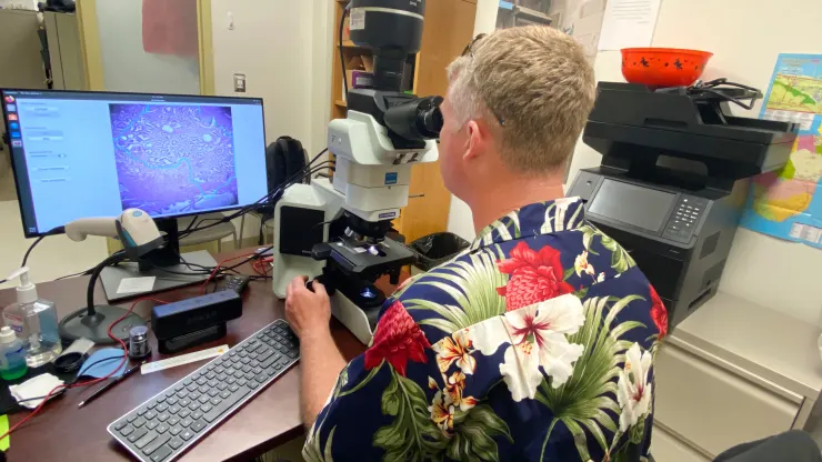 Google et le Pentagone ont mis au point un microscope basé sur l'intelligence artificielle pour le diagnostic du cancer-4