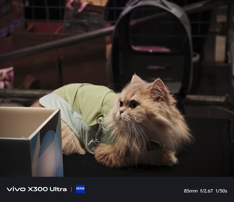 Фото з Vivo X300 Ultra 1