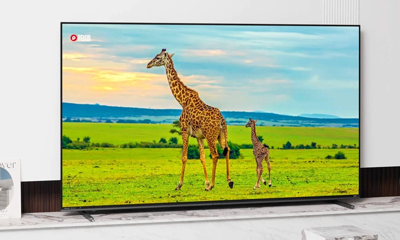 Лінійка телевізорів Hisense E8S на стенді