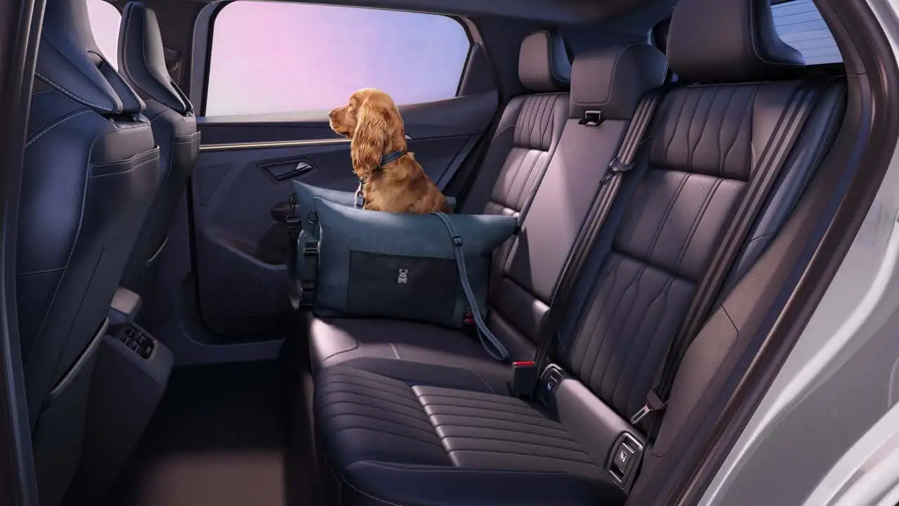 Renault Scenic E-Tech вид сбоку
