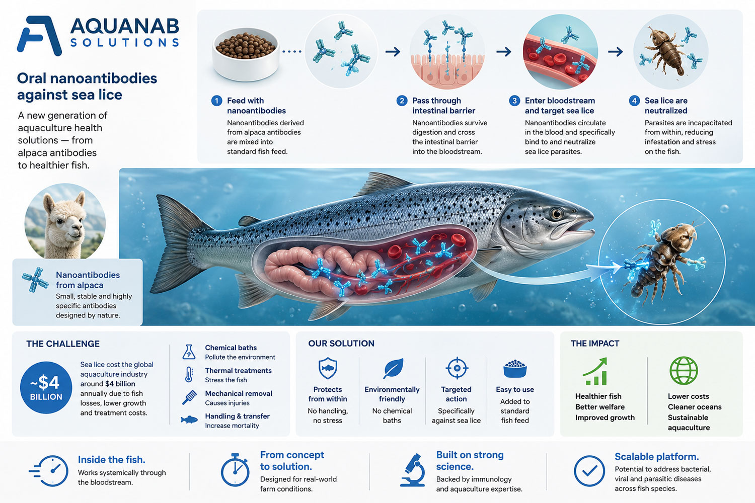 AquaNab's nanoantibodies are derived from alpaca blood and delivered through standard fish feed pellets.
