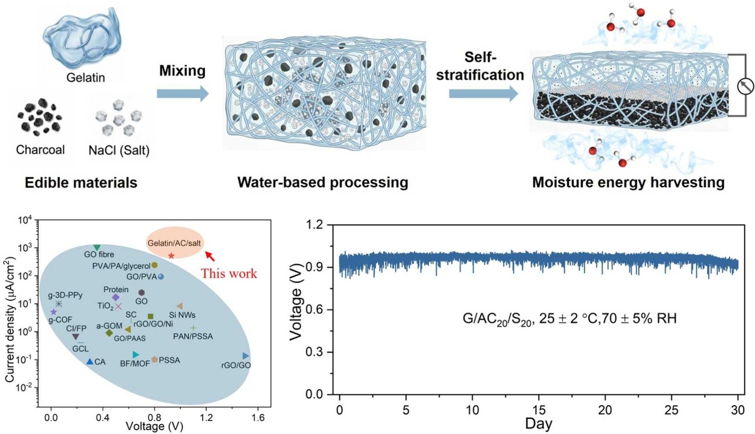 The biodegradable MEG electricity generator made from gelatin. Illustration: Nano Energy
