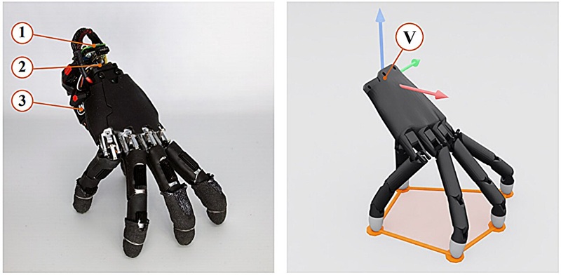 The robotic hand uses human-proportioned asymmetric fingers to maintain balance during locomotion. Photo: Soft Robotics Lab