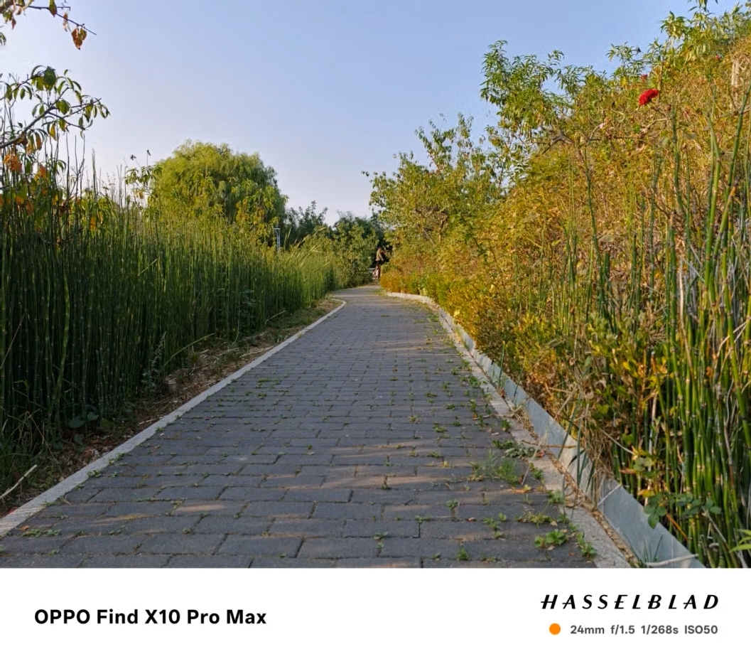Hasselblad Ultra Clear mode example
