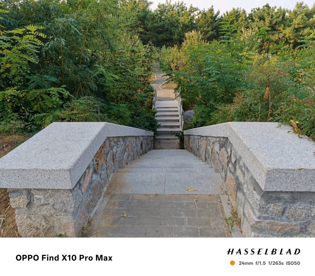 Photography by Oppo Find X10 Pro Max