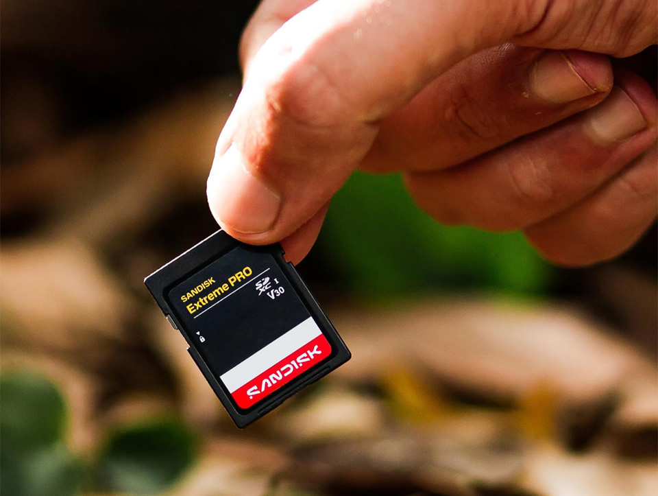 Карта памяти SanDisk Extreme Pro UHS-II SD 2 ТБ задняя часть