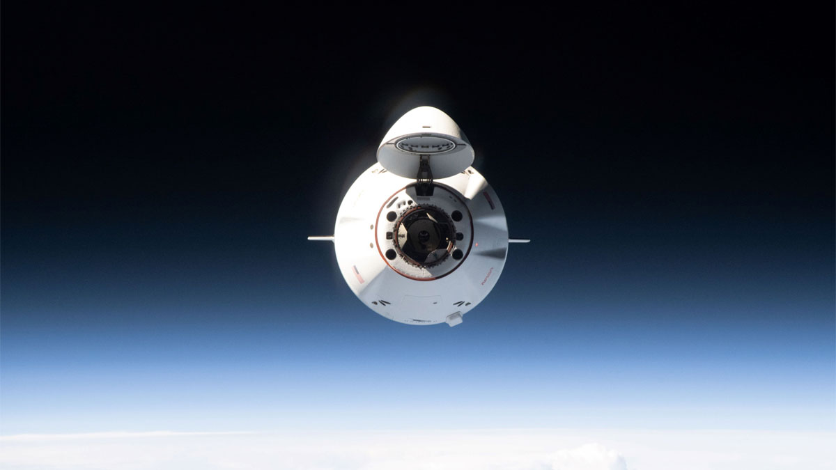 Иллюстрация SpaceX о капсуле Crew Dragon